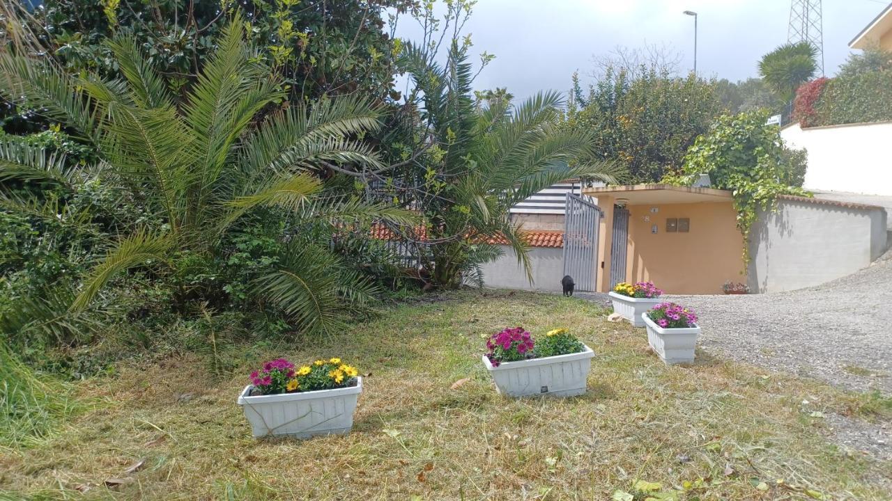 קולונלה B&B Verena, Casa Ferrari מראה חיצוני תמונה